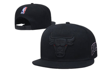 Chicago Bulls Hat