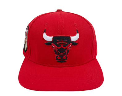 Chicago Bulls Hat- BCB751136